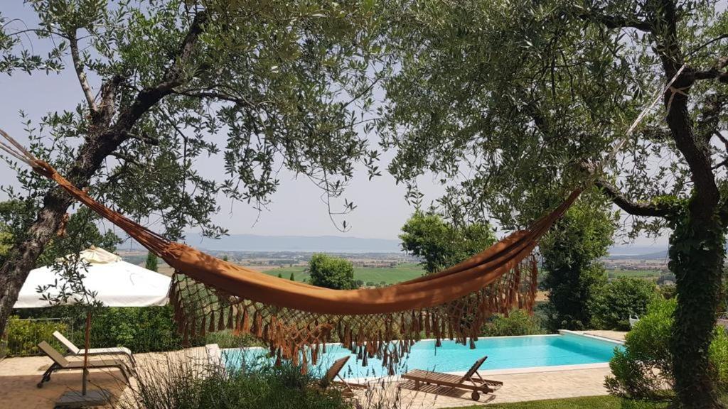 Fonte Pace Luxury Villa - A Fontanaro Property 帕西亚诺 外观 照片